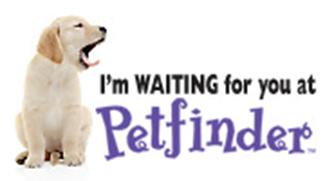 PETFINDER.COM